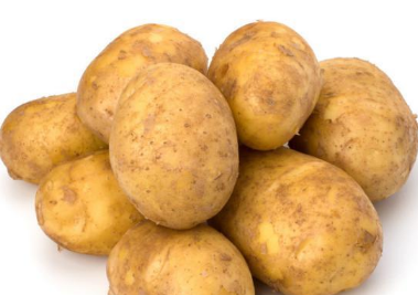 盆栽土豆的种植要点及养护方法 土豆种植方法技巧