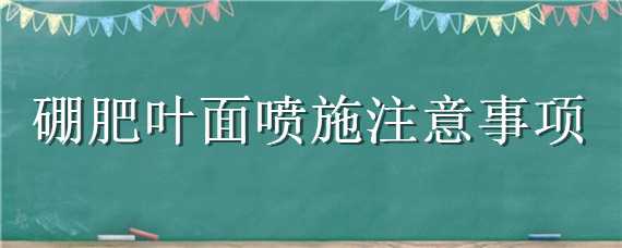 硼肥叶面喷施注意事项（硼肥可以叶面喷施吗）