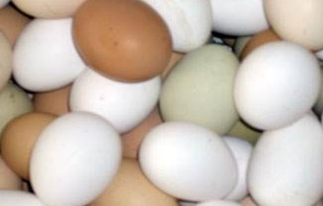 蛋鸡蛋壳变白是什么原因（蛋壳变白是怎么回事）