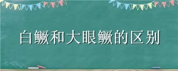 白鳜和大眼鳜的区别（白鳜与大眼鳜区别）