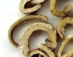 桑白皮的功效和作用（桑白皮的功效和作用是什么）