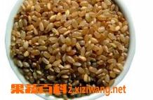 糙米的功效与作用（糙米的功效与作用及营养价值）
