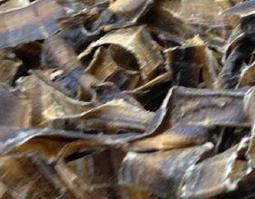 中药地龙的功效与作用 中药地龙的功效与作用及食用方法