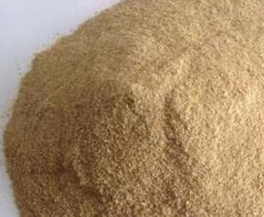 酵母粉是什么 酵母粉是什么味道