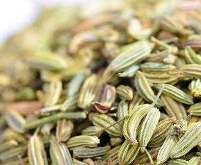大茴香和小茴香的区别 大茴香和小茴香的区别与功效