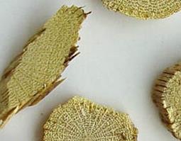 木通的功效与作用（木通的功效与作用图片）