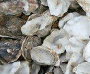 海蛎壳的药用价值与功效作用（海蛎壳的药用价值与功效作用及禁忌）