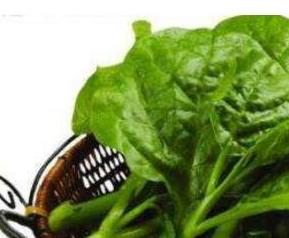 木耳菜的副作用 木耳菜的副作用是什么