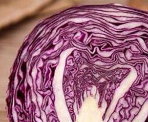 紫卷心菜与什么相克（紫卷心菜与什么相克不能吃）