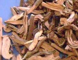 中药茜草的功与禁忌 茜草的功效与作用及禁忌功效与作用的功效