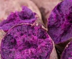 紫山芋跟什么食物相克 山芋和哪些食物相克