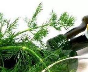 棕榈油的功效与作用 棕榈油的功效与作用及食用方法