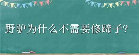 野驴为什么不需要修蹄子 野驴没人修蹄怎么办