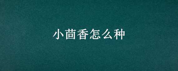 小茴香怎么种 小茴香怎么种植提前用水泡吗