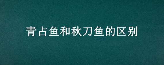 青占鱼和秋刀鱼的区别