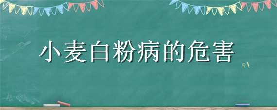 小麦白粉病的危害（小麦白粉病的危害症状）