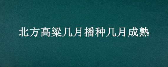 北方高粱几月播种几月成熟（北方高粱几月播种几月成熟的）