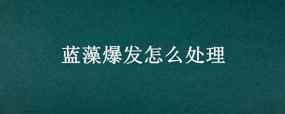蓝藻爆发怎么处理 蓝藻爆发怎么处理好