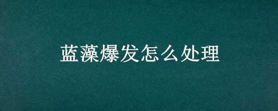 蓝藻爆发怎么处理 蓝藻爆发怎么处理好