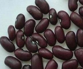 紫芸豆的功效与作用（紫芸豆的功效与作用及营养价值）