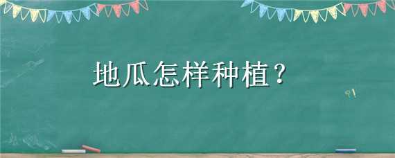 地瓜怎样种植（地瓜怎样种植高产）