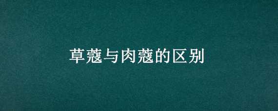 兰花种植方法注意事项（兰花种植方法注意事项有哪些）