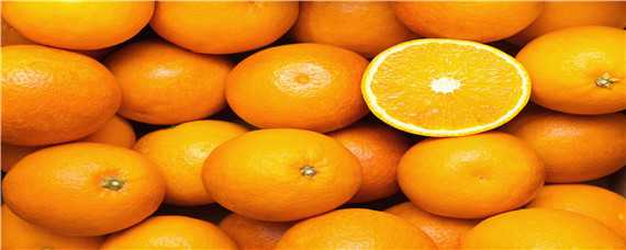 橙子几年结果 橙子几年挂果