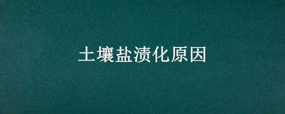 土壤盐渍化原因 土壤盐渍化原因高中地理