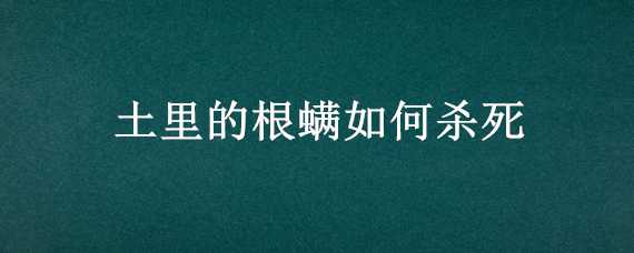 土里的根螨如何杀死（根螨的根治方法）