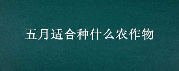 五月适合种什么农作物（农历五月适合种什么农作物）