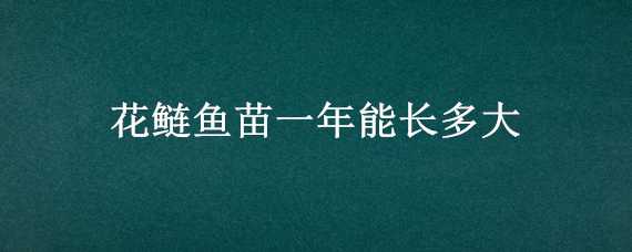 花鲢鱼苗一年能长多大（花鲢鱼苗一年能长多少斤）