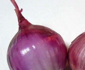 紫色洋葱的功效与作用 紫色洋葱的功效与作用禁忌