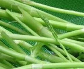 水芹菜的功效与作用 水芹菜的功效与作用及食用方法