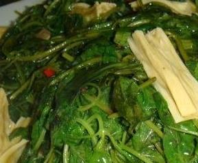 荆棘菜的功效与营养价值（荆棘菜的功效与作用）