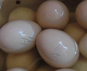 最简单的鸡蛋腌制方法图解 鸡蛋腌制方法家常