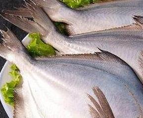 鲳鱼的营养价值与食用功效 鲳鱼的营养价值及功效