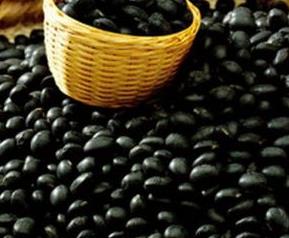 黑豆的功效与作用 黑豆的功效与作用有哪些
