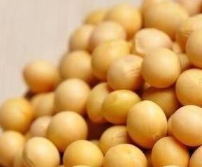 黄豆壳的营养价值 黄豆壳的营养价值高吗