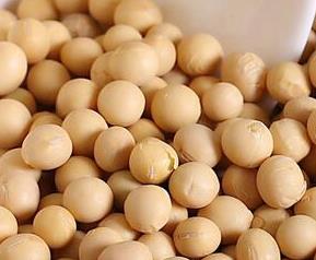 黄豆的功效与作用 黄豆的功效与作用和副作用