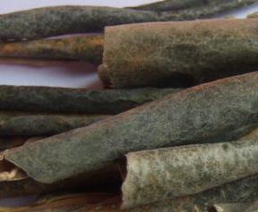 冬瓜皮的药用价值 冬瓜皮的药用价值与功效禁忌