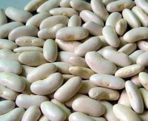 白芸豆的功效与作用 白芸豆的功效与作用及禁忌
