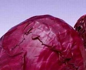 紫椰菜的营养价值（紫椰菜的营养价值和功效）