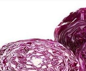 紫心包菜的营养价值 紫心包菜的营养价值及功效