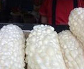 白雪公主瓜的营养价值 白雪公主瓜的营养价值和功效