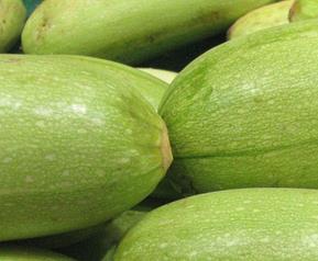 笋瓜的功效与作用 黄金笋瓜的功效与作用