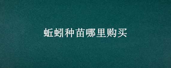 蚯蚓种苗哪里购买（蚯蚓种苗批发价）