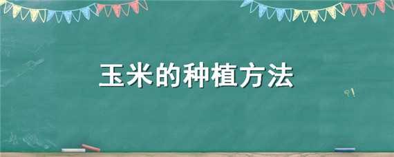 玉米的种植方法