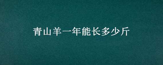 青山羊一年能长多少斤