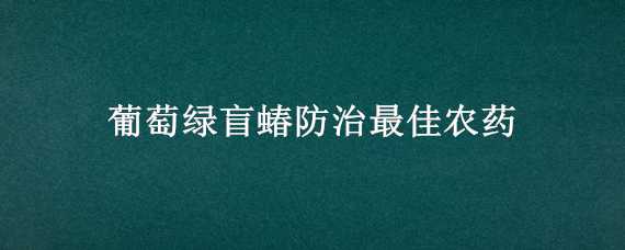 葡萄绿盲蝽防治最佳农药 防治葡萄盲蝽蟓的特效农药