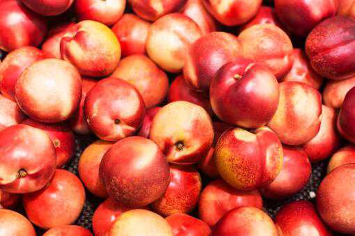 各地油桃几月份成熟上市 各地油桃几月份成熟上市季节